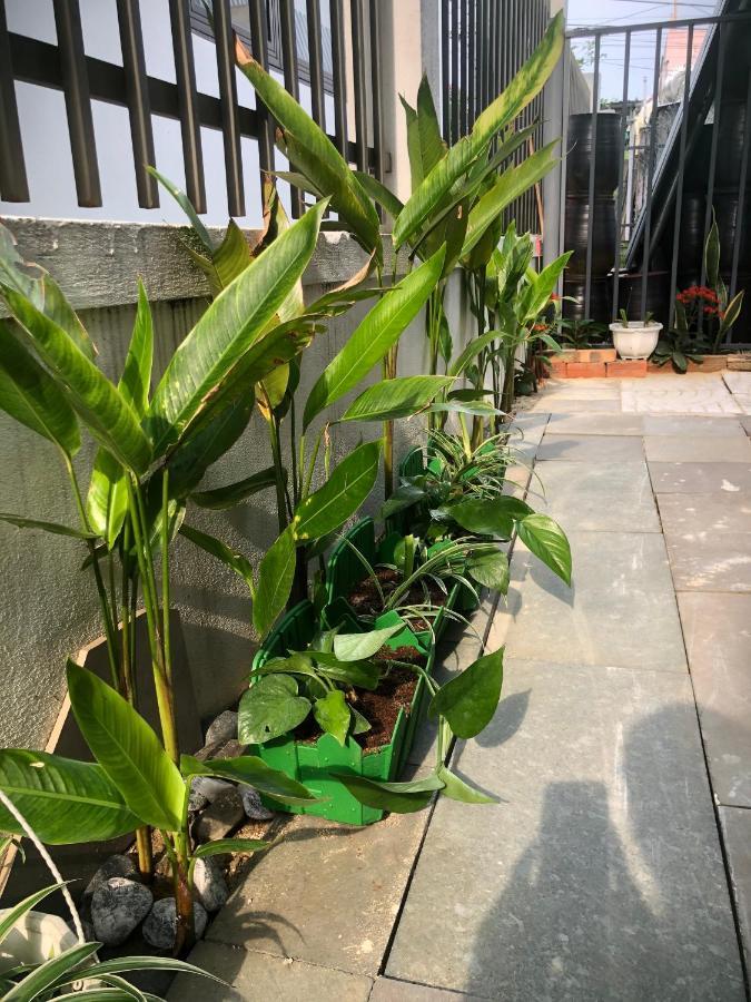 Homestay Phuong House 会安 外观 照片