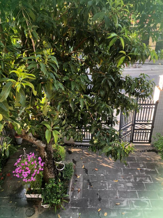 Homestay Phuong House 会安 外观 照片